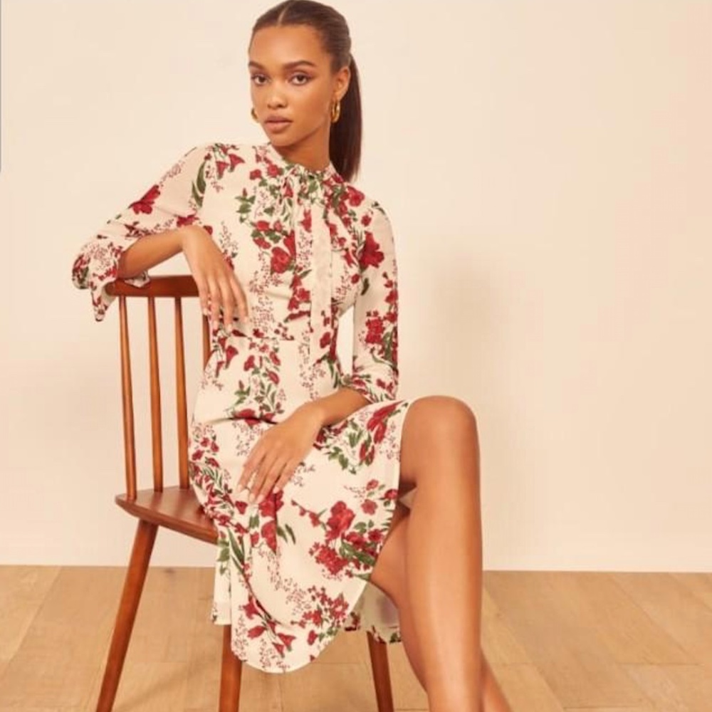 Reformation Castel dress in Georgette